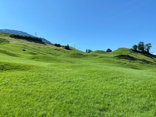 Alpine meadows along Lake Lungern or pastures by Lake Lungernsee - Canton of Obwald, Switzerland (Almwiesen entlang des Naturstausee Lungererses - Kanton Obwald, Schweiz)