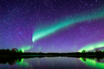 The aurora borealis is reflected in the water. A river in northern lights at evening. A forest glows in the green sky. A forest glows in the evening sky with green river and green forest lifestyle.