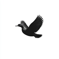 Obraz premium A black duck in flight against a white background.