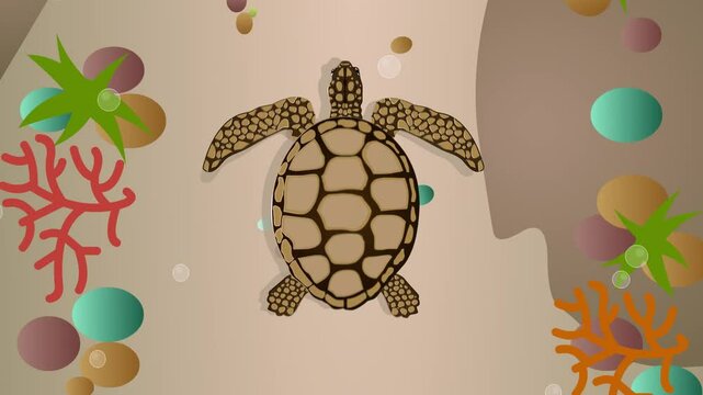 Animated video of a sea turtle swimming on the seabed, top view, art, animal, reptile.