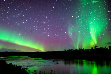 The aurora borealis is reflected in the water. A river in northern lights at evening. A forest glows in the green sky. A forest glows in the evening sky with green river lifestyle and green forest.