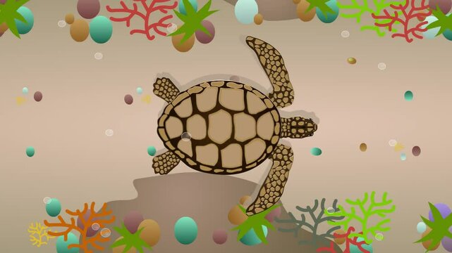 Animated video of a sea turtle swimming on the seabed, top view, art, reptile.