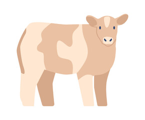 Spotted cow domestic animal vector illustration