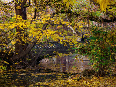 Autumn at Parco Sempione, Milan: Ponte delle Sirenette