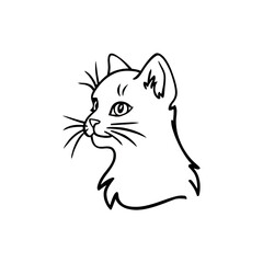 cat clip art line drawing illustration cartoon isolated on transparent background