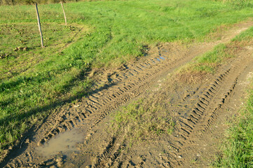 Tire tracks in mud