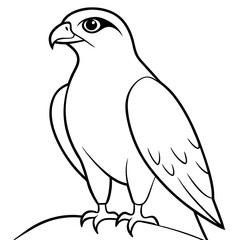 Fototapeta premium Hawk Bird Generative AI Vector and Line Art Design for Graphics