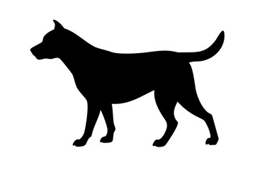 black dog isolated on white