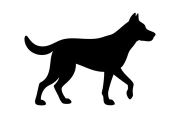 black dog isolated on white