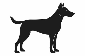 black dog isolated on white