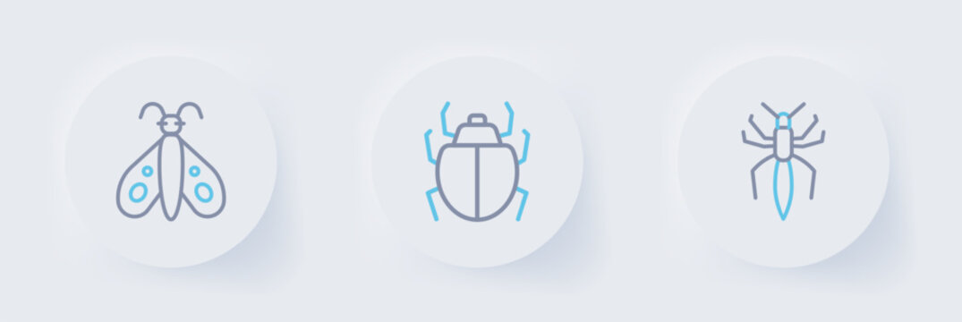 Set line Spider, Mite and Butterfly icon. Vector