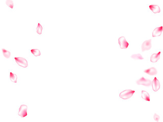 Pink sakura petals confetti flying and falling windy blowing background. Bloom 3d particles. Floral natural blossom soft petals illustration. Flower blossom parts romantic love vector pattern.