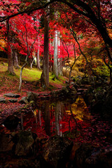 日本、青森、カッコーの森エコーランドの紅葉