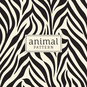 Zebra texture creative design