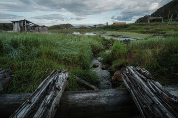 A stream among green grass on the seashore in Teriberka
