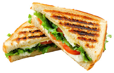 A realistic photographic style of a triangle grilled sandwich bread lunch food.