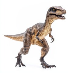 Fototapeta premium Velociraptor dinosaur, triassic period, mesozoic era, cretaceous period, jurassic period, isolated on white background