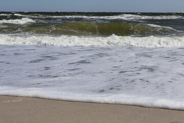 Foamy Waves and Sandy Beach: A tranquil scene of foamy waves gently washing onto a sandy beach under a clear blue sky, capturing the essence of coastal beauty and relaxation.