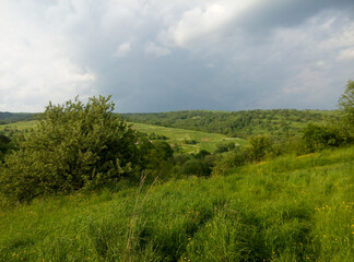 Rolling Hills and Lush Green Meadow: A serene countryside view with rolling hills, vibrant green meadows, and a tree in the foreground under a cloudy sky, evoking peace and natural beauty.