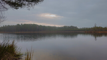 Calm waters reflect overcast skies at a tranquil lake in a forested area during the early evening