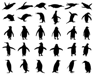 Black silhouettes of penguins on a white background	