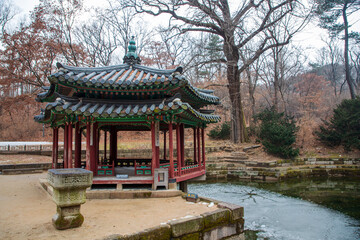 Obraz premium 창덕궁 후원