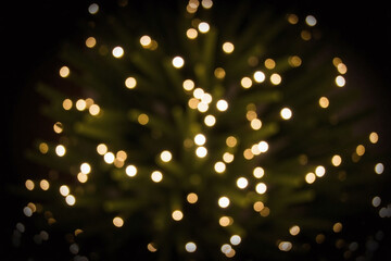 Festive bokeh lights green foliage depth warm inviting mood