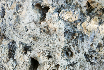 Textured Limestone Close-Up A detailed close-up of weathered limestone, showcasing its rugged texture, natural erosion patterns.