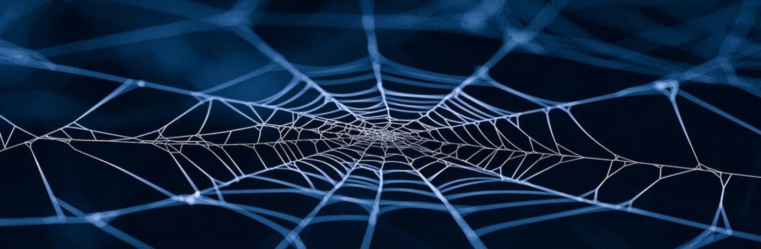 Scary black realistic spiderweb pattern with line art. Hanging arachnid decoration on wall. Helloween goth horizontal banner illustration.