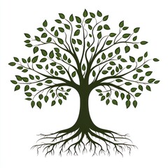 Obraz premium Lush green tree with exposed roots, isolated on white.