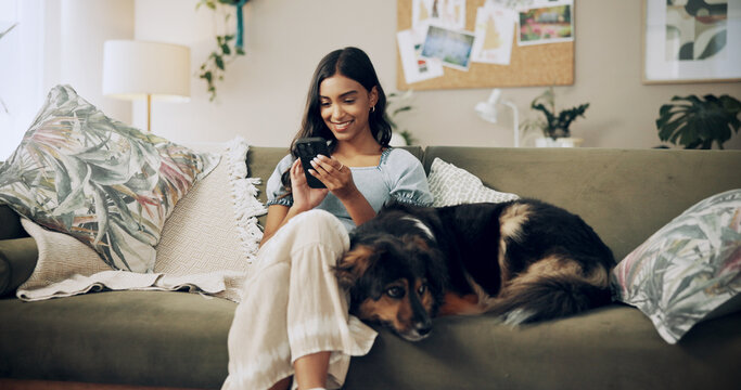 Woman, phone and dog to relax in home, surfing dating website and online for companion search. Female person, reading ebook and app for communication on couch, pet care and internet for animal info