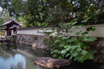 膳所城跡公園　滋賀県大津市　お堀の風景