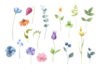 Colorful flowers and twigs with leaves painted in watercolor