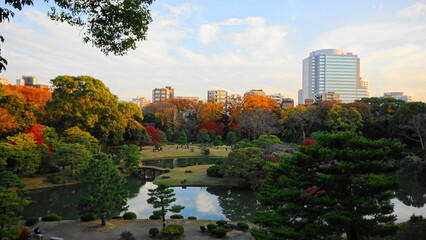 Obraz premium 秋の六義園