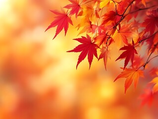 Autumn Maple Leaves Against A Warm Background