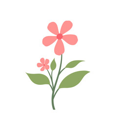 Flower illustration 