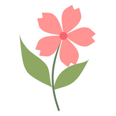 Flower illustration 