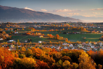 View of the hills in the Prosecco area of Valdobbiadene, Conegliano. Famous region in northern Italy, Prosecco wine, famous region. 
Prosecco vineyards cover the landscape of this unesco world herita
