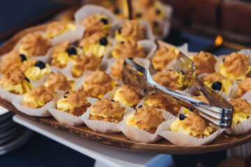 Catering table, beautifully decorated banquet with variety different food snacks appetizers on christmas corporate birthday party event or wedding celebration, canape, salad, delicatessen setting