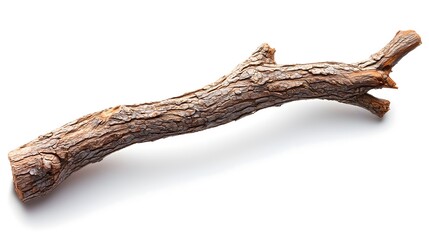 Fototapeta premium Natural wood stick rustic vibes