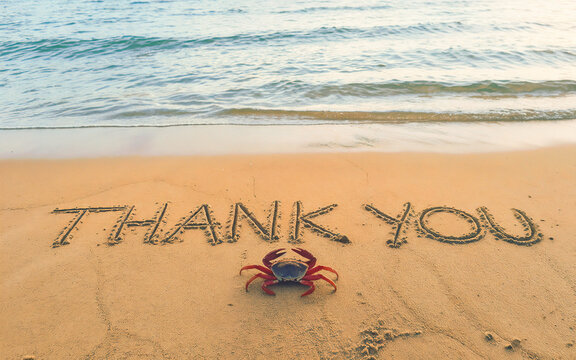 Thank you text written on beach sand with a crab. express gratitude, grateful, appreciation, presentation end message concept.