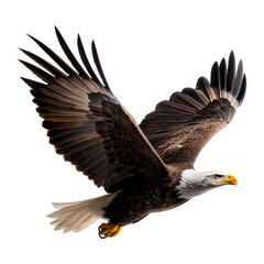 Obraz premium A majestic eagle soaring through the air with its wings spread wide isolated on a transparent background