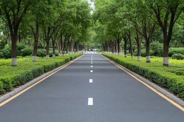 An urban park filled with trees, a jogging trail, and people enjoying the environment on a sunny day