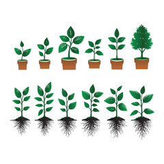 Tree vector set with white background