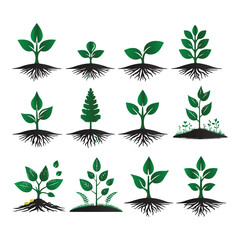 A plants vector set with white background