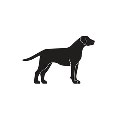Mountain Cur dog, silhouette dog breeds animal pet