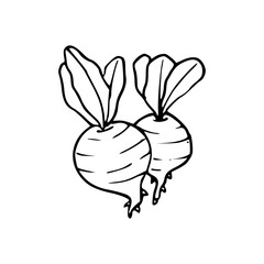 cartoon of a two beets coloring page