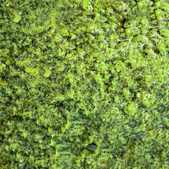 Pesto sauce textured  background.  Italian basil pesto sauce wallpaper. Pattern