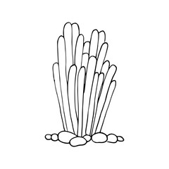 Fototapeta premium cartoon of a coral coloring page