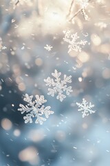 Winter Backdrop Paper